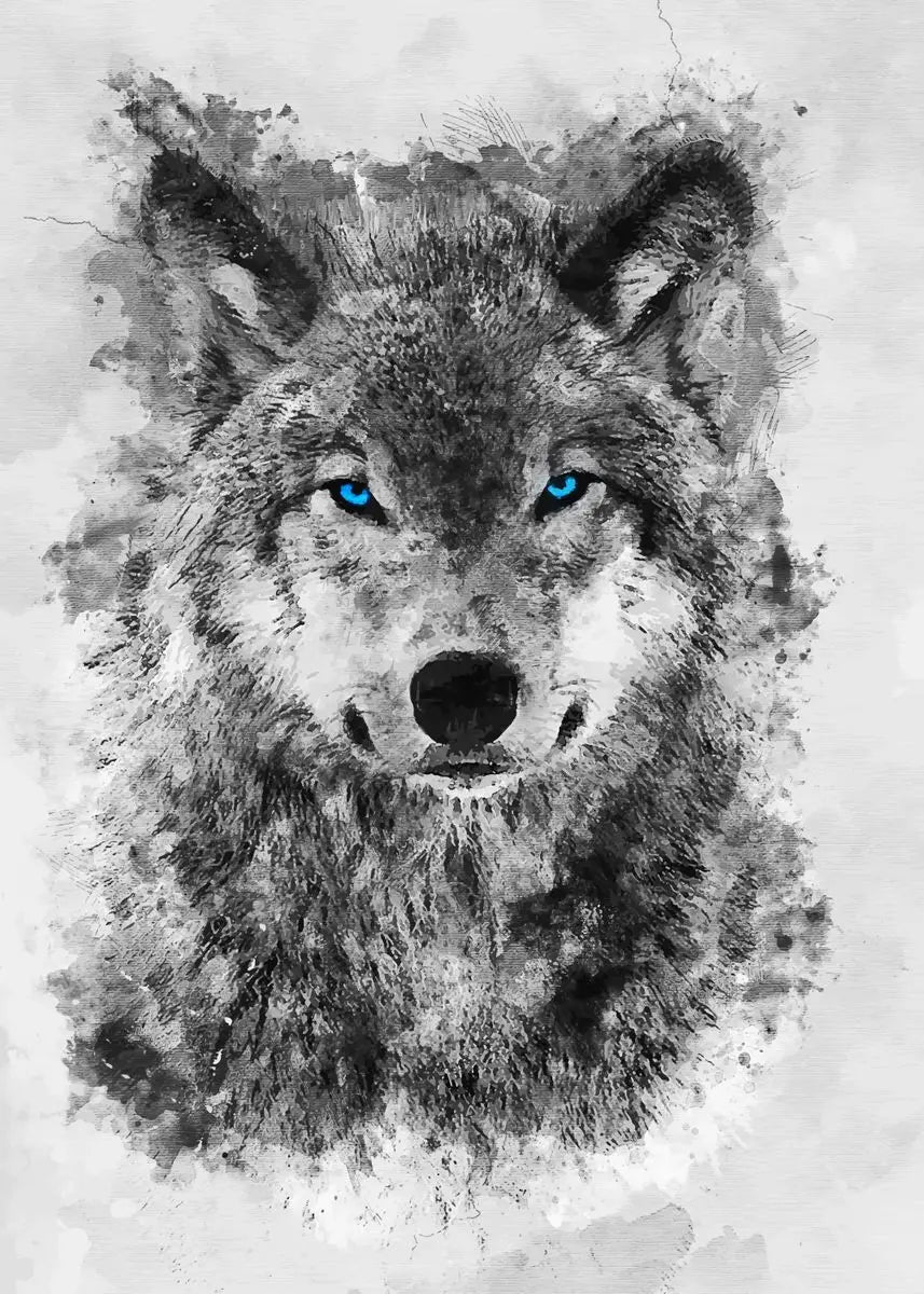 "Stunning Black Wolf Canvas Art"